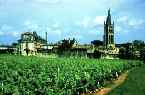 Saint-Emilion Vineyard