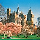 Cardiff Castle