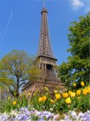 The Tour Eiffel - Eiffel Tower built for the 1889 L'Expositon Universelle